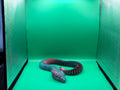 3D Printed Medium Flexible Serpent Collectible Display Piece 🐍✨